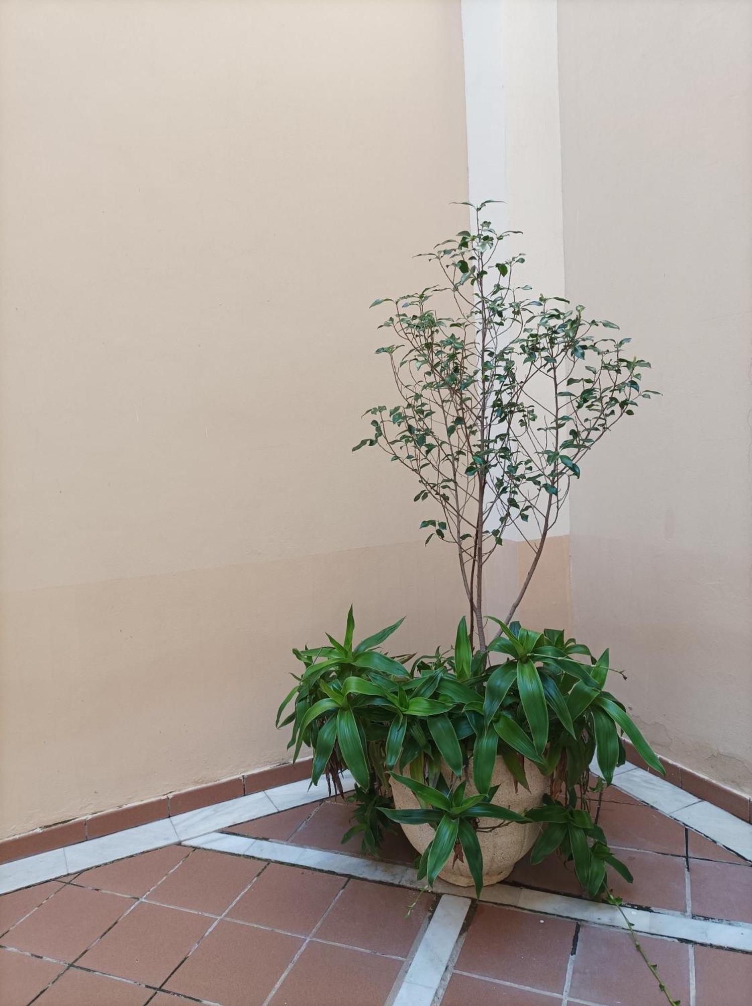 Apartamento De Lux Sevilla Este Eksteriør billede